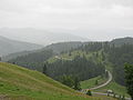 Bukovina.JPG