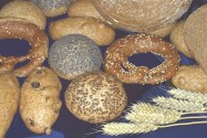 Vollkornbrote und -gebcke nach Originalrezepten von Dr. J. G. Schnitzer