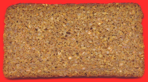 Ein echtes Bio-Vollkornbrot - gebacken von Mestemacher (G�tersloh)