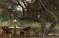 Dining by Design in Sir Bani Yas.jpg