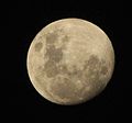 Moon, beuty moon!.jpg