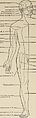 Nervous and mental diseases (1919) (14801272183).jpg