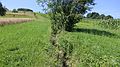 "Bünz" nach der Quelle - panoramio.jpg