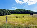 Moritzberg 20170615 121955a.jpg