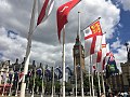 A Beaumont Sark flag 13 Jul 17.jpg