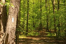 North Chagrin Metropark Buckeye Trail.jpg
