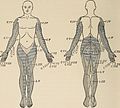 Nervous and mental diseases (1911) (14778065515).jpg