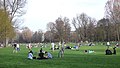 Wöhrder Wiese P1090219.jpg