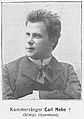 Carl Nebe (BerlLeben 1908-02).jpg