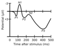 Components of ERP.png