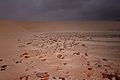 Sand Dune, Socotra Island (13887342397).jpg
