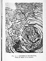 Art of the insane; "Chaos de lignes et de couleurs". Wellcome L0023497.jpg