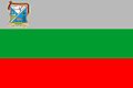 Bandera Municipio Guanipa.jpg