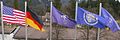 20170306 NU Flags(2).jpg