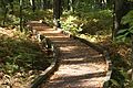 Peverly Pond Trail (4150315808).jpg