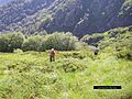 "Central Balkan" National Park - panoramio.jpg