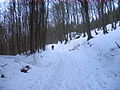 2010-02 Wittekindsweg Nonnenstein-Heidbrink 051.jpg