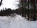 2010-02 Wittekindsweg Nonnenstein-Heidbrink 028.jpg