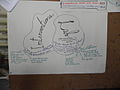 AND AND AND scheme interventions lab.JPG