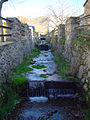 Arroyo de Canencia.jpg