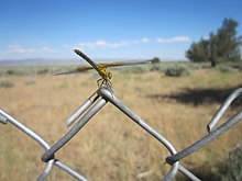 2017-07-12 Summer Lake 13.jpg