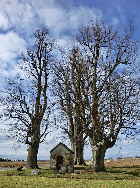 File:"Bodendorfer Kapelle" - panoramio.jpg