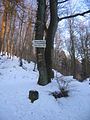 2010-02 Wittekindsweg Nonnenstein-Heidbrink 067.jpg