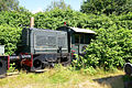 Fallopia overgrows train.jpg