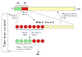 Generalised binary splitting.svg