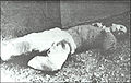 Dragon Rouge - DG102a.jpg