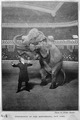 Houdini Hippodrome.tif