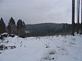 2010-02 Wittekindsweg Nonnenstein-Heidbrink 021.jpg