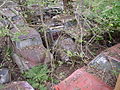 AutofriedhofGuerbetalInBueschen1.JPG