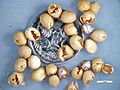 Achatina fulica eggs.jpg