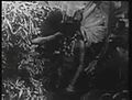 File:Tarzan of the Apes (1918).webm
