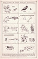 What Games Do These Pictures Represent?.jpg