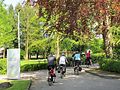 Bad Krozingen - Kurpark - panoramio.jpg