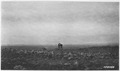 Old Indian Fort near Albee, Ochoco Forest, 1915 - NARA - 299189.tif