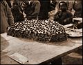 Cake Of Millet & Jujubes, Peking, China (1915) Frank N. Meyer (RESTORED) (4104642924).jpg