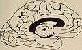 Nervous and mental diseases (1919) (14758523716).jpg