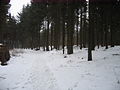 2010-02 Wittekindsweg Nonnenstein-Heidbrink 017.jpg