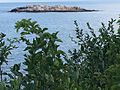 Island off the coast of Magnolia, Gloucester, MA.jpg