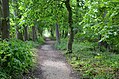 Irrhain DSC 3577.jpg