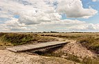 Balloërveld, natuurgebied in Drenthe 22.jpg