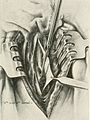 A. M. A. archives of neurology and psychiatry (1919) (14757473106).jpg
