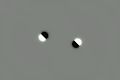File:Zuse space 2D skyrmion without forces.webm