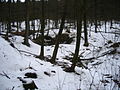 2010-02 Wittekindsweg Nonnenstein-Heidbrink 083.jpg