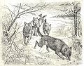 Heubach wolf.jpg