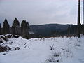 2010-02 Wittekindsweg Nonnenstein-Heidbrink 022.jpg