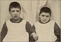 Nervous and mental diseases (1911) (14778606705).jpg